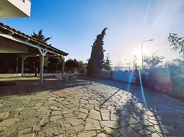 Tarmaros - Families & Groups