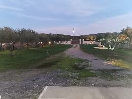 Boho Sisi Haven- Poolside Oasis Garden Retreat