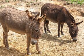 Farm On-site: Mtn-view Cottage in Hendersonville!