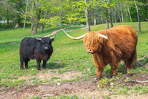 Farm On-site: Mtn-view Cottage in Hendersonville!