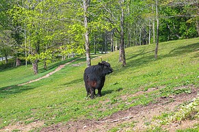 Farm On-site: Mtn-view Cottage in Hendersonville!