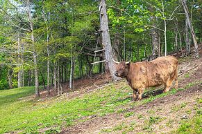 Farm On-site: Mtn-view Cottage in Hendersonville!