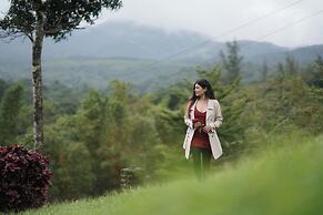 SILA Mountain Majesty