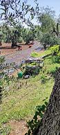 Agriturismo Passione Natura