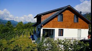 House in the Vineyard