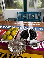 Bougainvilla Mountain Retreat