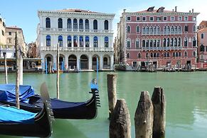 Venice Photobirding Nature And Culture