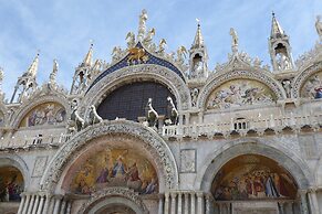 Venice Photobirding Nature And Culture