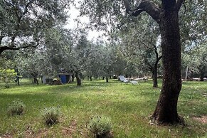 Casa Oliva Kim Marie