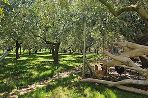Casa Oliva Kim Marie