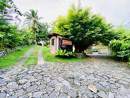 The Nature Palace Villa