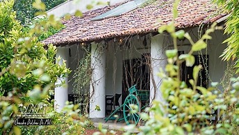 The Nature Palace Villa