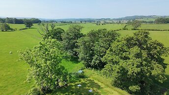 High View Meadows