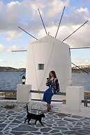 Pandrossos Hotel