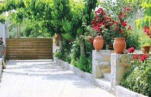 Rose Hedge