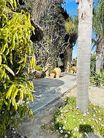 Divers house in Mykonos