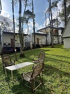 Roots Munnar