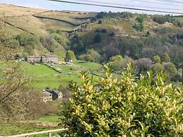 Pule Hill Farm