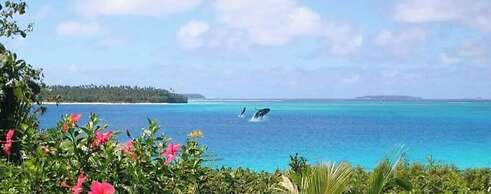 Mahina Lodge