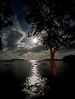 Dany Island