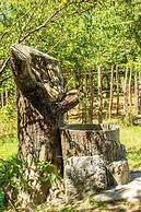 Eco cottages