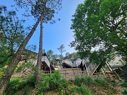 Musical Paradise Kasauli