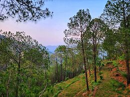 Musical Paradise Kasauli