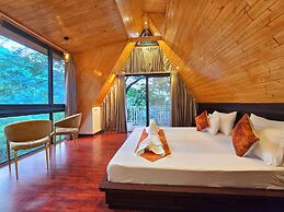 Musical Paradise Kasauli