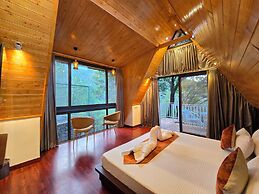 Musical Paradise Kasauli