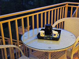 Musical Paradise Kasauli