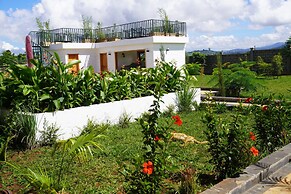 Moyoni Africa Lodge & Tours