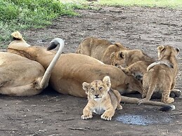 Moyoni Africa Lodge & Tours