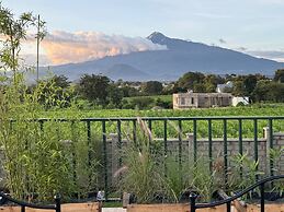 Moyoni Africa Lodge & Tours