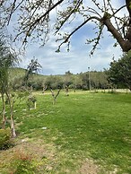 Vila Shehu