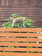 Modern-cozy 2bedrooms Plus 2bathrooms at the Swan Lake Khao Yai Nation