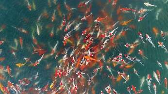 Modern-cozy 2bedrooms Plus 2bathrooms at the Swan Lake Khao Yai Nation