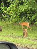 Modern-cozy 2bedrooms Plus 2bathrooms at the Swan Lake Khao Yai Nation