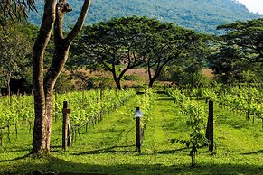 Village Farm & Winery