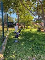 Bush Adventure Guest House