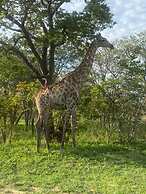 Bush Adventure Guest House