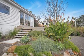 Little Darlin' The Shack