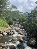 Eagles Eco Lodge - Kandy