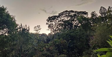 Glamping Jardín