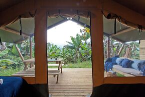 Glamping Jardín