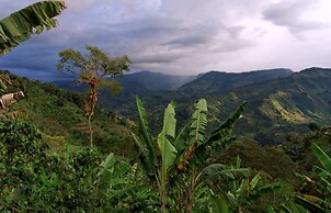 Glamping Jardín