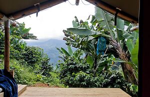 Glamping Jardín