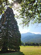 Mille100-47 - Ubaye Base Camp