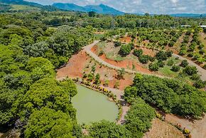Nayari Toucan Farmstay Villa La Fortuna