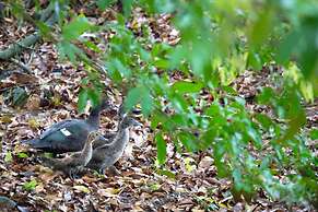 Nayari Arenal Farmstay A-frame Chalet La Fortuna