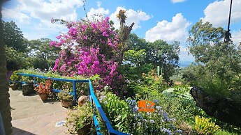 Casa de Meg - Charme na Serra Negra